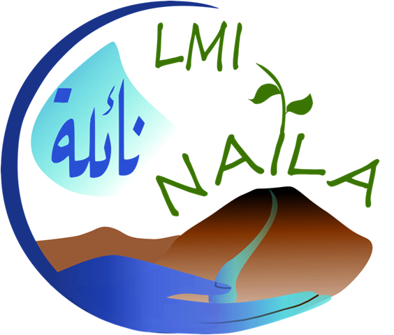 LMI NAILA